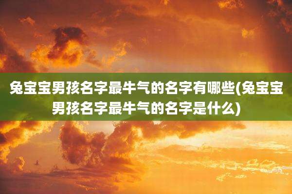 兔宝宝男孩名字最牛气的名字有哪些(兔宝宝男孩名字最牛气的名字是什么)