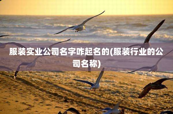 服装实业公司名字咋起名的(服装行业的公司名称)