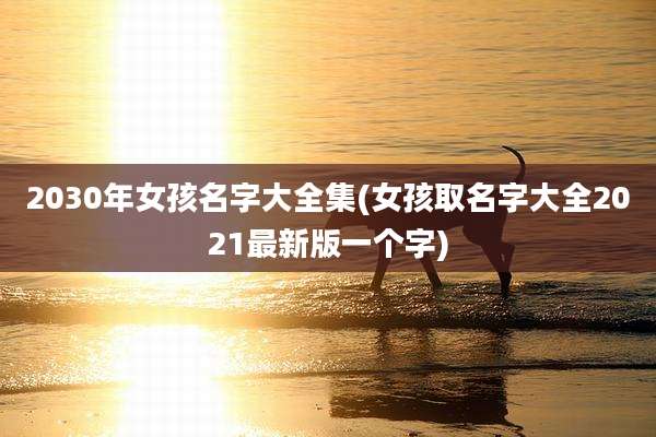 2030年女孩名字大全集(女孩取名字大全2021最新版一个字)