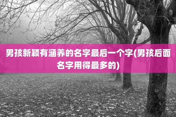 男孩新颖有涵养的名字最后一个字(男孩后面名字用得最多的)