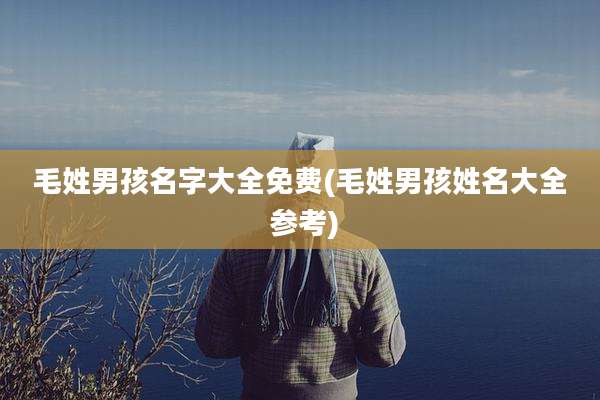 毛姓男孩名字大全免费(毛姓男孩姓名大全 参考)