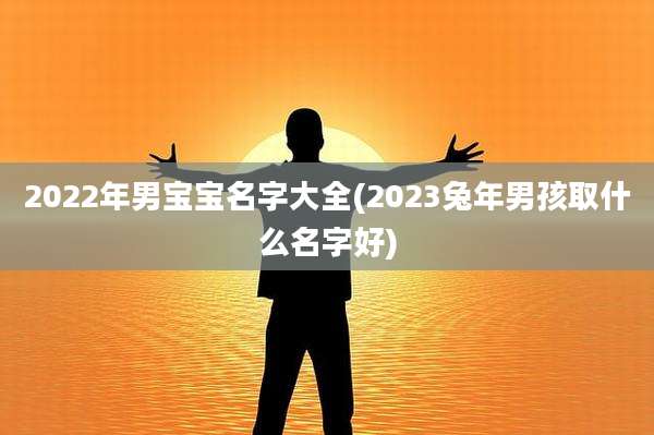 2022年男宝宝名字大全(2023兔年男孩取什么名字好)