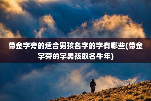 带金字旁的适合男孩名字的字有哪些(带金字旁的字男孩取名牛年)