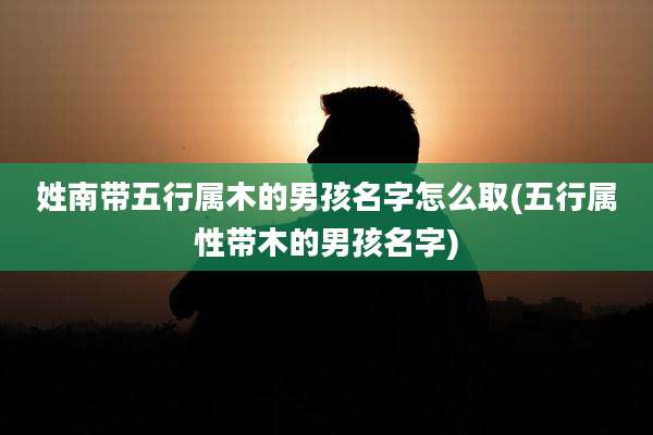 姓南带五行属木的男孩名字怎么取(五行属性带木的男孩名字)