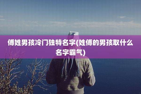 傅姓男孩冷门独特名字(姓傅的男孩取什么名字霸气)