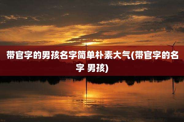 带官字的男孩名字简单朴素大气(带官字的名字 男孩)