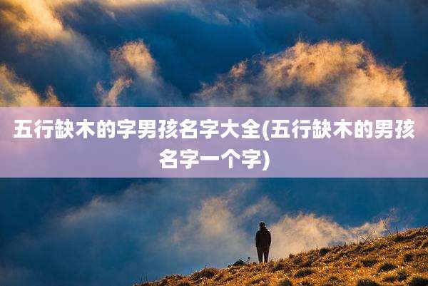 五行缺木的字男孩名字大全(五行缺木的男孩名字一个字)