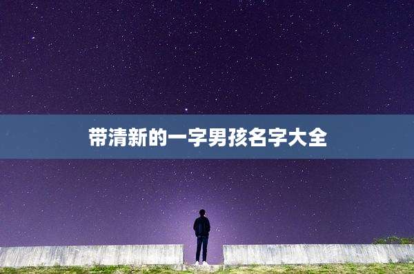带清新的一字男孩名字大全