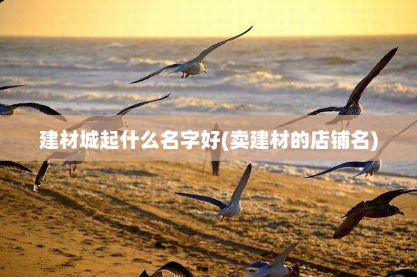 建材城起什么名字好(卖建材的店铺名)