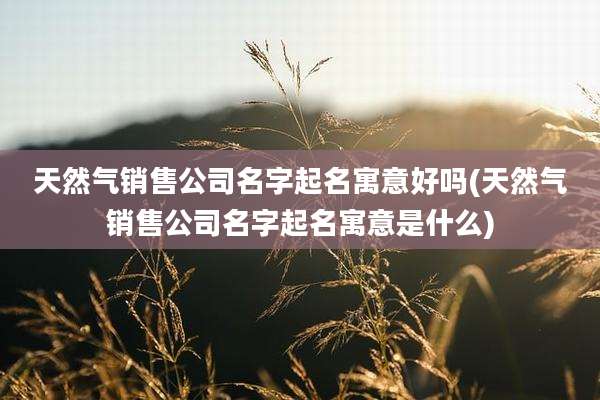 天然气销售公司名字起名寓意好吗(天然气销售公司名字起名寓意是什么)