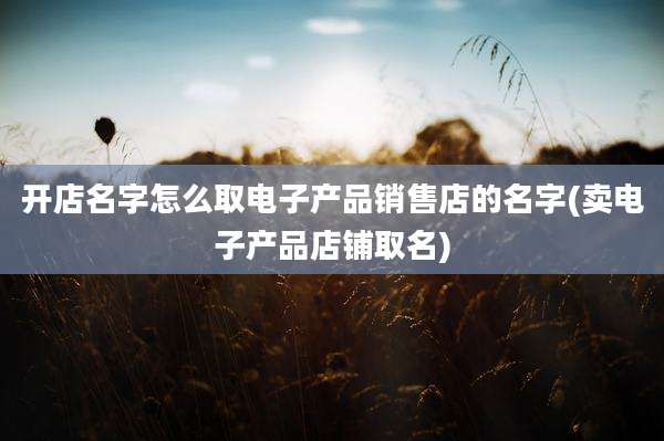 开店名字怎么取电子产品销售店的名字(卖电子产品店铺取名)