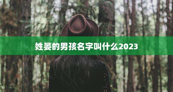 姓晏的男孩名字叫什么2023
