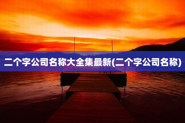 二个字公司名称大全集最新(二个字公司名称)