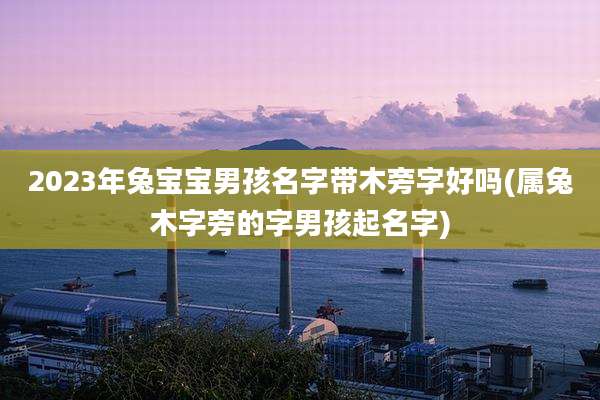 2023年兔宝宝男孩名字带木旁字好吗(属兔木字旁的字男孩起名字)