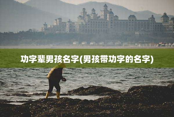 功字辈男孩名字(男孩带功字的名字)