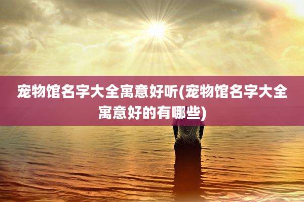 宠物馆名字大全寓意好听(宠物馆名字大全寓意好的有哪些)