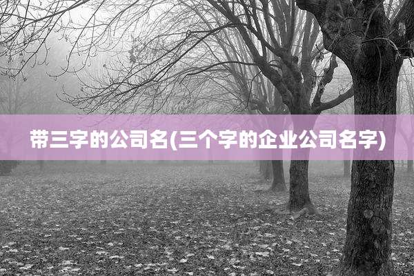 带三字的公司名(三个字的企业公司名字)