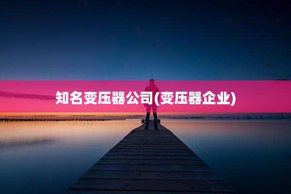 知名变压器公司(变压器企业)