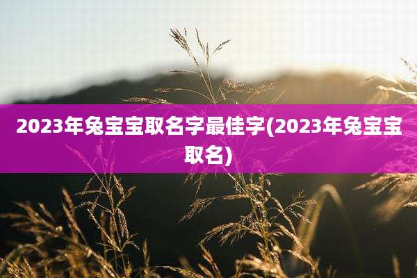 2023年兔宝宝取名字最佳字(2023年兔宝宝取名)