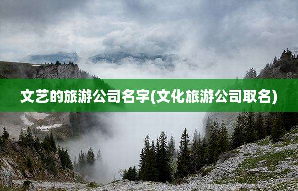 文艺的旅游公司名字(文化旅游公司取名)