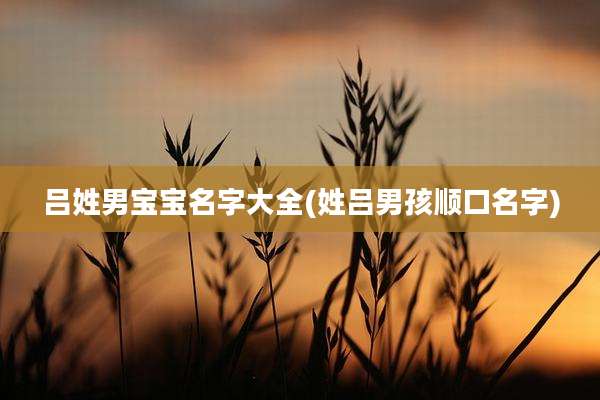 吕姓男宝宝名字大全(姓吕男孩顺口名字)