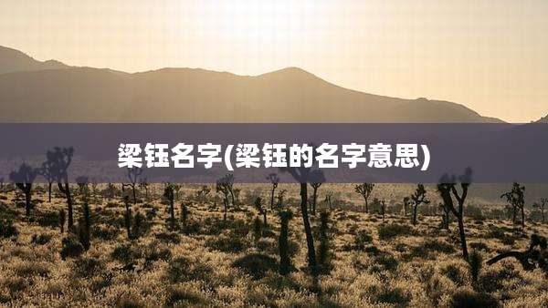 梁钰名字(梁钰的名字意思)