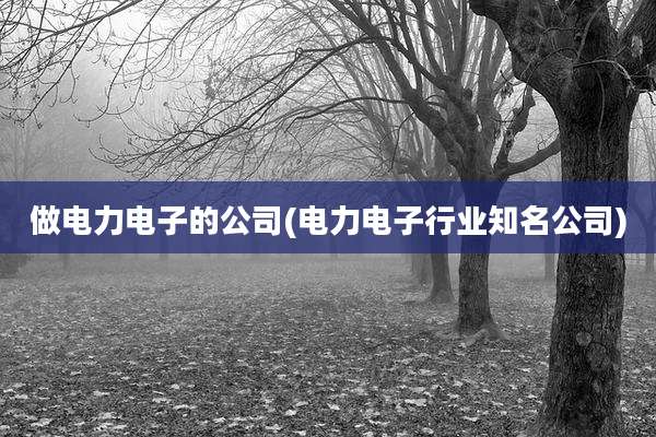 做电力电子的公司(电力电子行业知名公司)