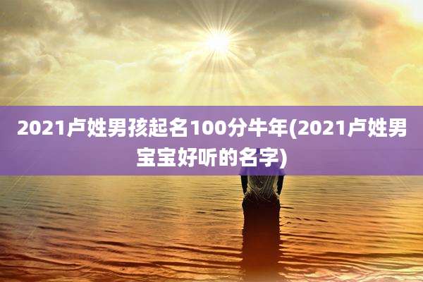 2021卢姓男孩起名100分牛年(2021卢姓男宝宝好听的名字)