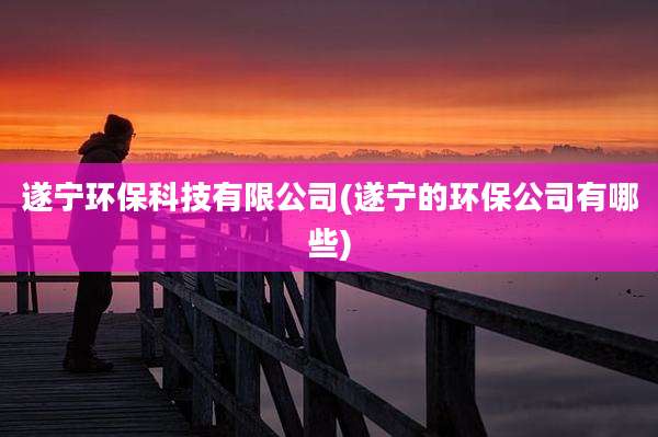遂宁环保科技有限公司(遂宁的环保公司有哪些)