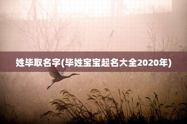 姓毕取名字(毕姓宝宝起名大全2020年)