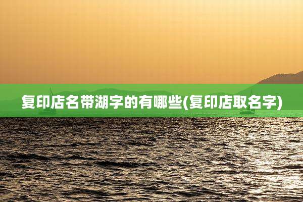 复印店名带湖字的有哪些(复印店取名字)