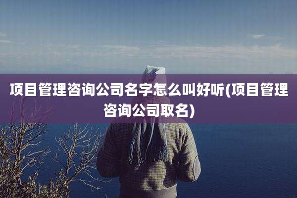 项目管理咨询公司名字怎么叫好听(项目管理咨询公司取名)