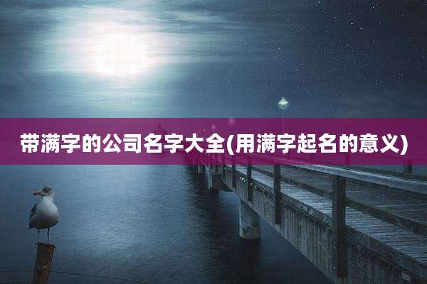 带满字的公司名字大全(用满字起名的意义)