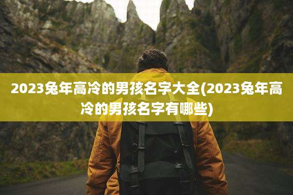 2023兔年高冷的男孩名字大全(2023兔年高冷的男孩名字有哪些)