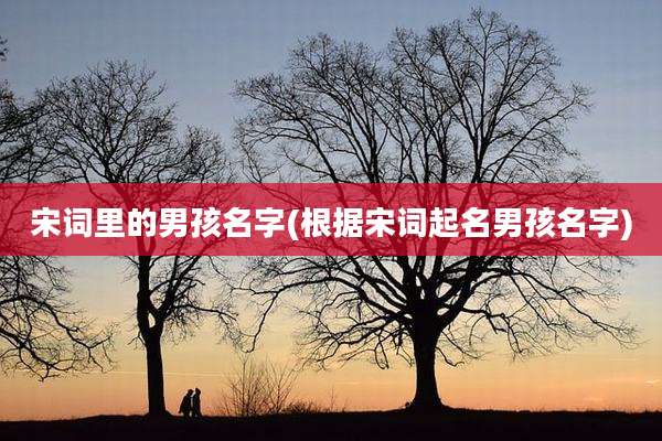 宋词里的男孩名字(根据宋词起名男孩名字)