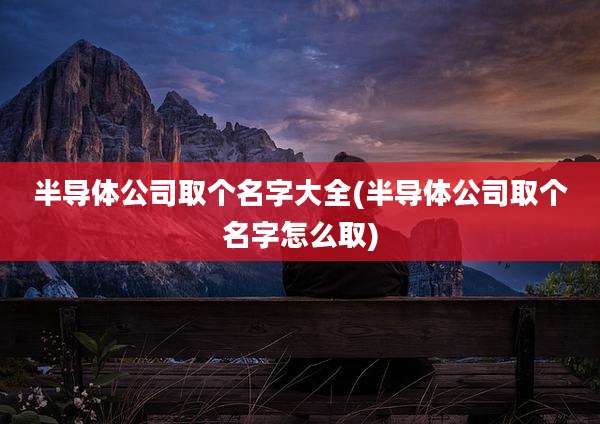 半导体公司取个名字大全(半导体公司取个名字怎么取)