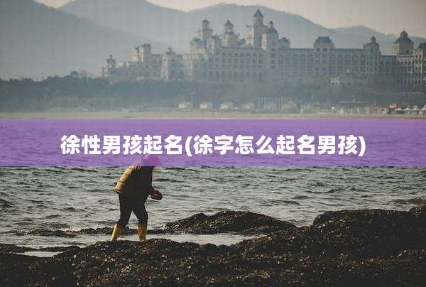 徐性男孩起名(徐字怎么起名男孩)