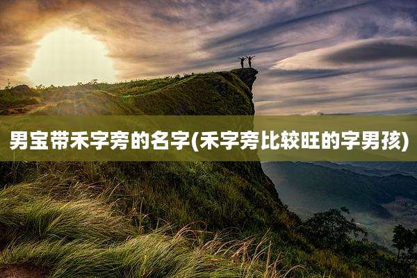 男宝带禾字旁的名字(禾字旁比较旺的字男孩)