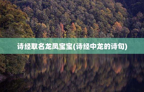 诗经取名龙凤宝宝(诗经中龙的诗句)