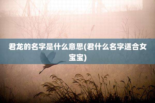 君龙的名字是什么意思(君什么名字适合女宝宝)