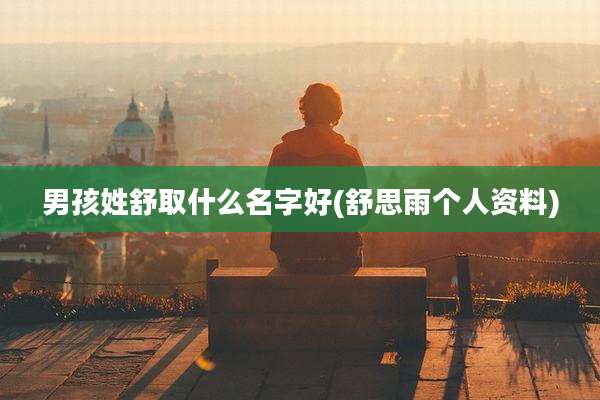 男孩姓舒取什么名字好(舒思雨个人资料)
