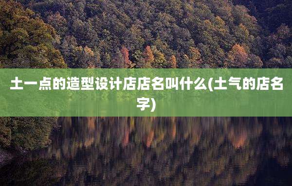 土一点的造型设计店店名叫什么(土气的店名字)