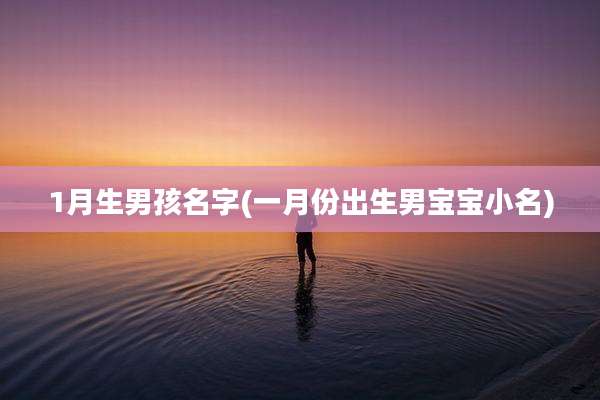 1月生男孩名字(一月份出生男宝宝小名)