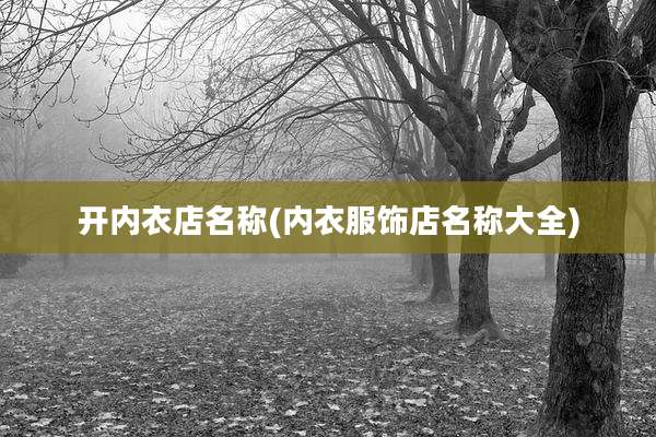 开内衣店名称(内衣服饰店名称大全)