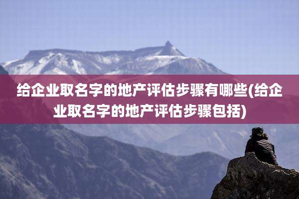 给企业取名字的地产评估步骤有哪些(给企业取名字的地产评估步骤包括)