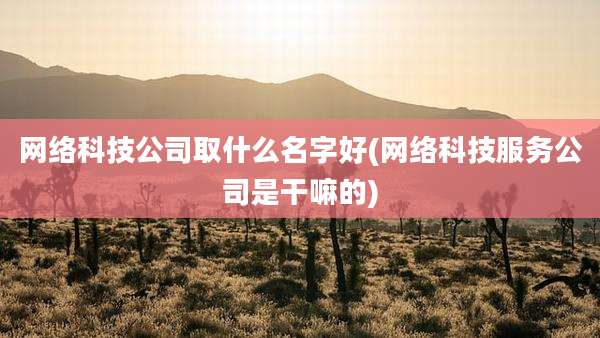 网络科技公司取什么名字好(网络科技服务公司是干嘛的)