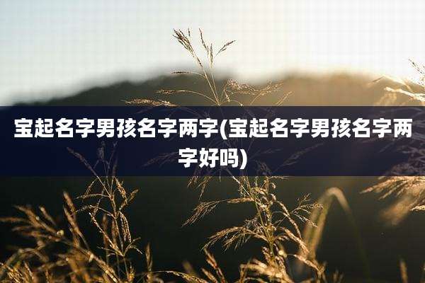 宝起名字男孩名字两字(宝起名字男孩名字两字好吗)
