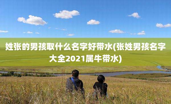 姓张的男孩取什么名字好带水(张姓男孩名字大全2021属牛带水)