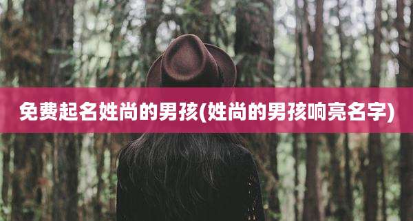 免费起名姓尚的男孩(姓尚的男孩响亮名字)