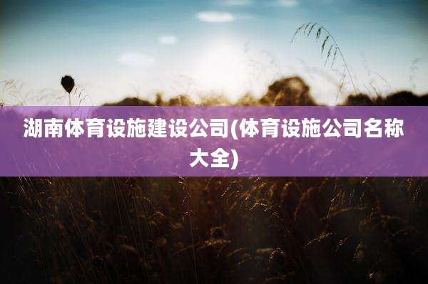 湖南体育设施建设公司(体育设施公司名称大全)